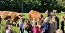 På bondegårdsbesøg