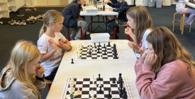 Lær at spille skak