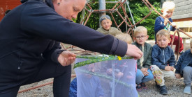 Sommerfuglefarm i børnehaven