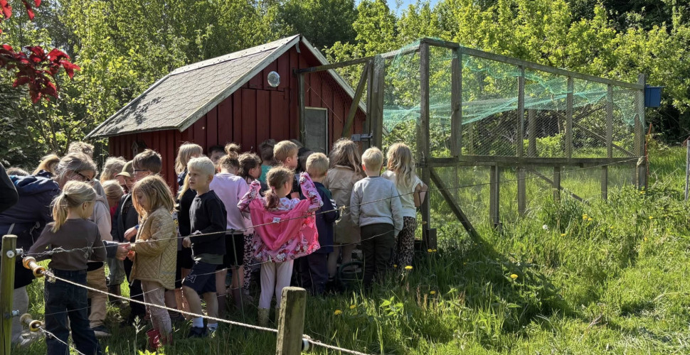 På bondegårdsbesøg