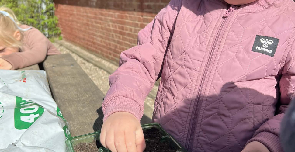 Det spirer i børnehaven