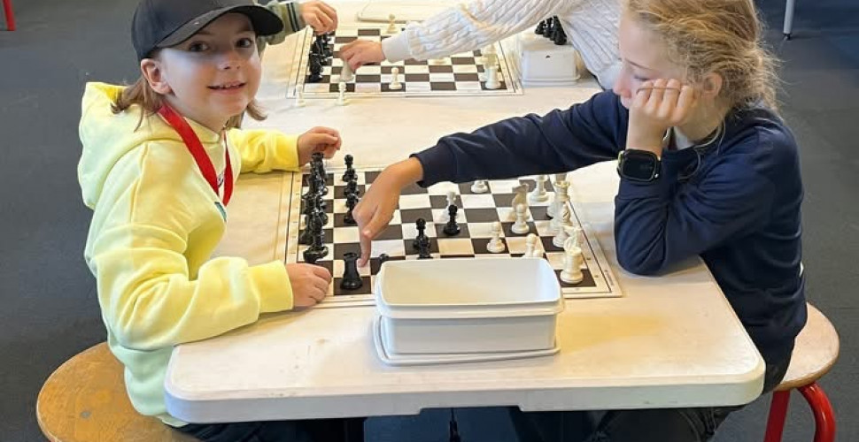 Lær at spille skak