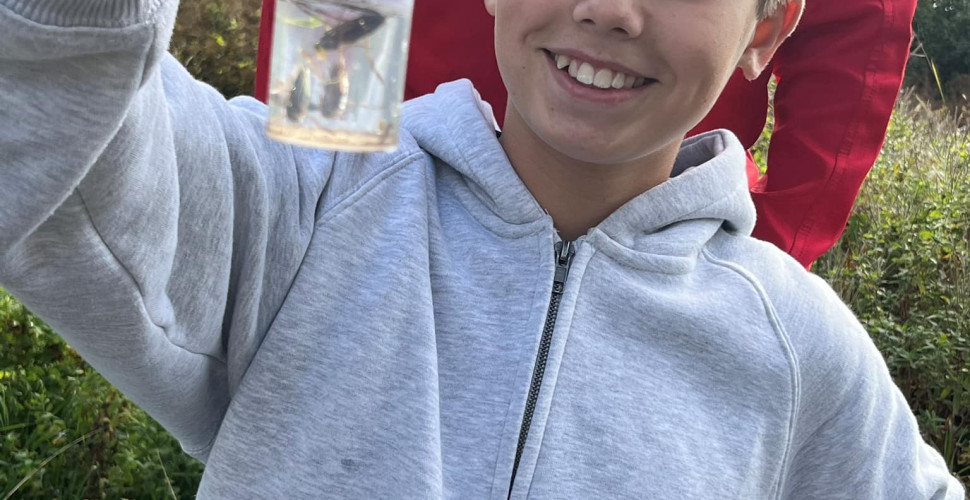 Fordybelsesuge