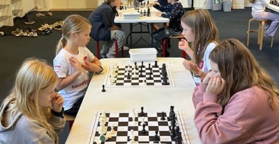 Lær at spille skak