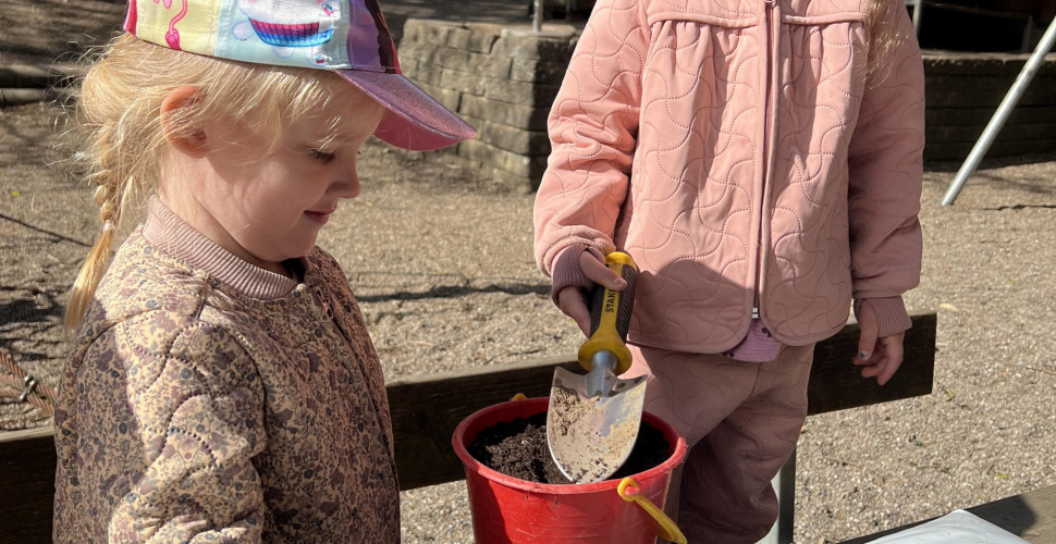 Det spirer i børnehaven